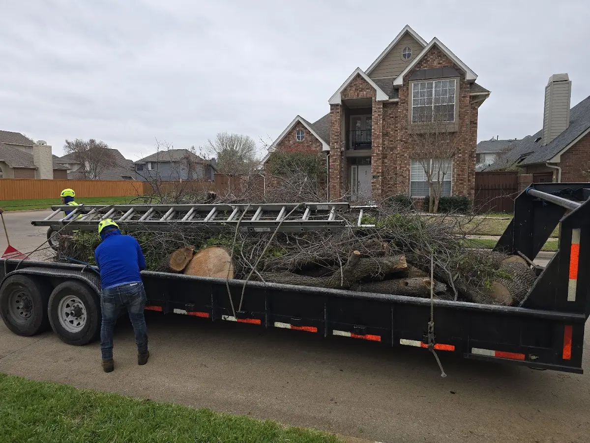 Expert Tree Removal with proper safety equipment in Fishers Hill